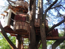 Stacks Image 76