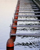 Stacks Image 1787
